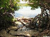 Isla de Guilligan - GUÁNICA